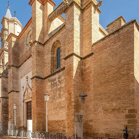 Amazing In With Wifi Carmona (Seville)